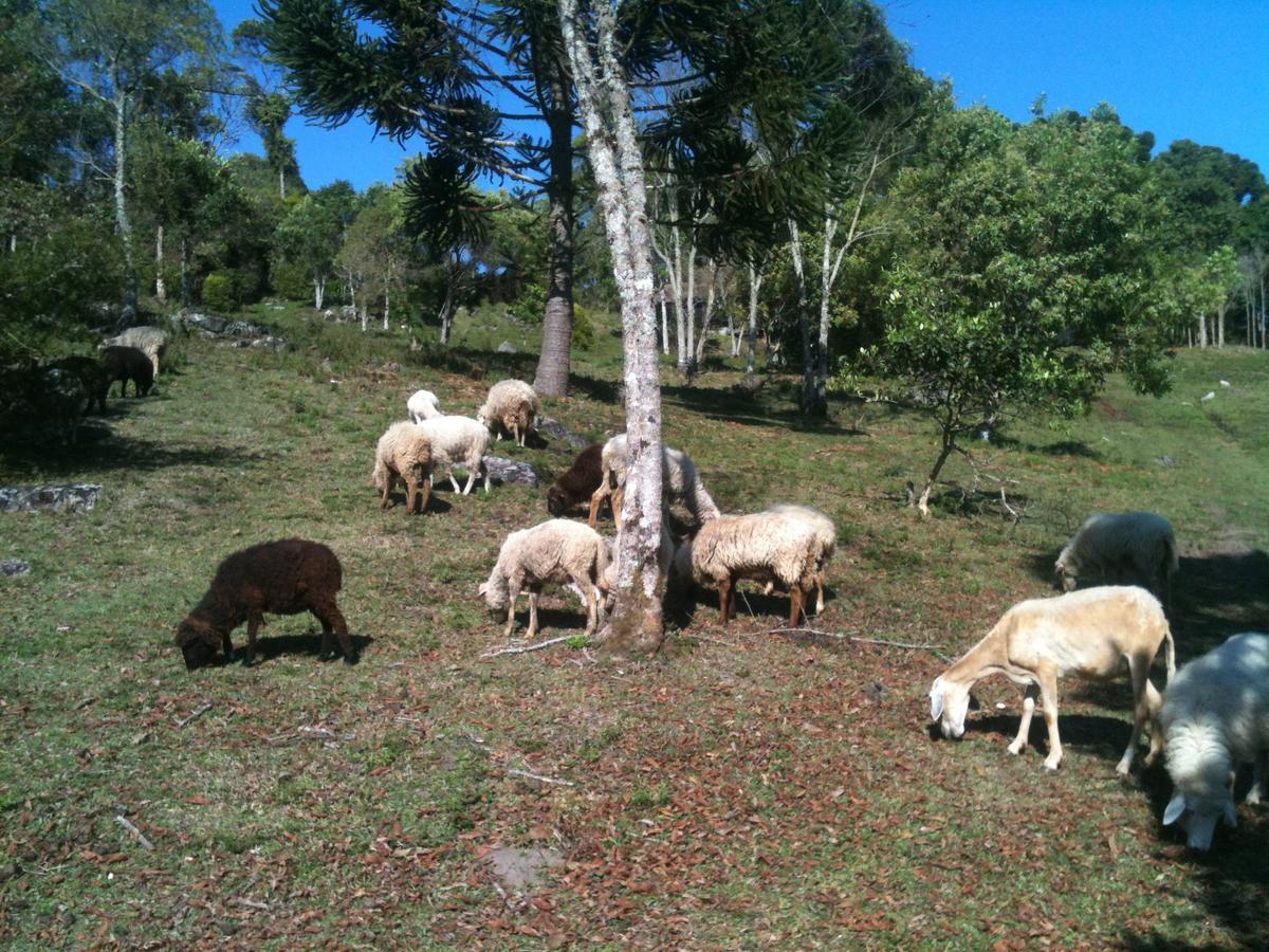 Delirius Hospedagem Itamonte Buitenkant foto